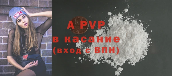 ешки Бородино