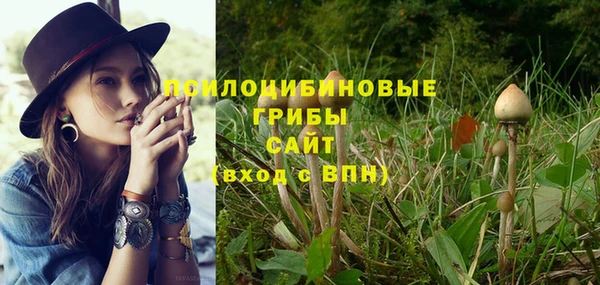 метадон Богородск