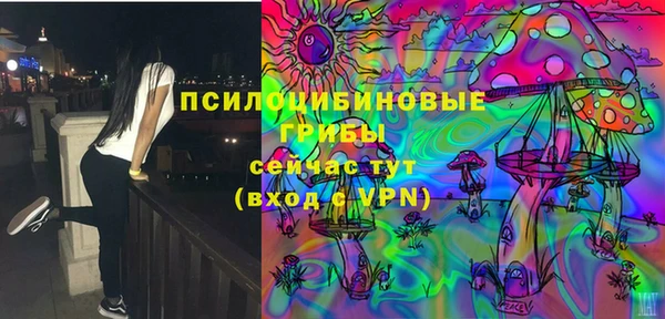 прущая мука Богданович