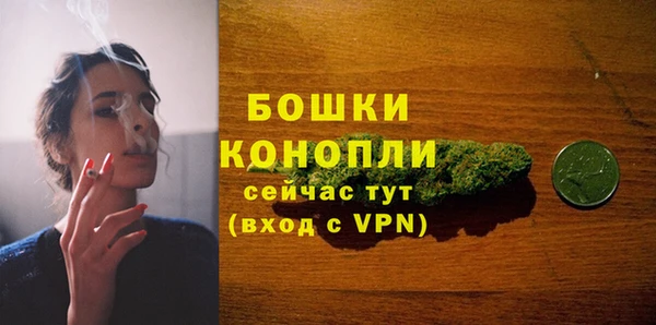 прущая мука Богданович