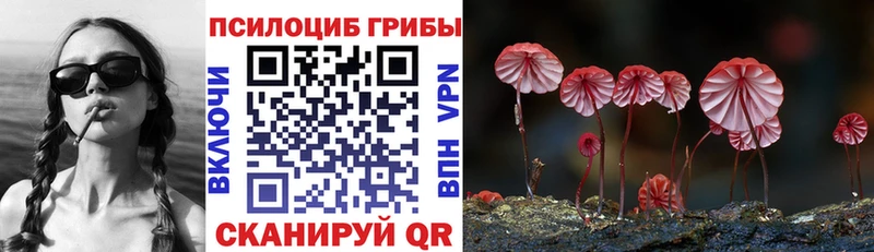 Галлюциногенные грибы Psilocybine cubensis Коркино