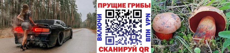 Галлюциногенные грибы GOLDEN TEACHER  kraken сайт  Коркино  закладки 
